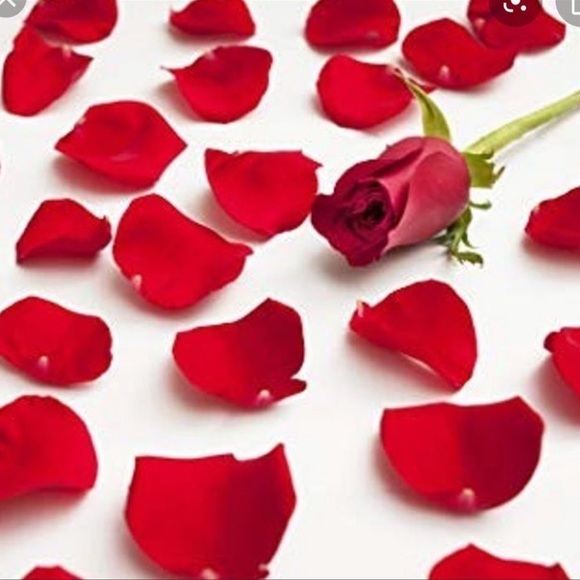 ANTHROPOLOGIE red ruffled dress - Picture 6 of 7